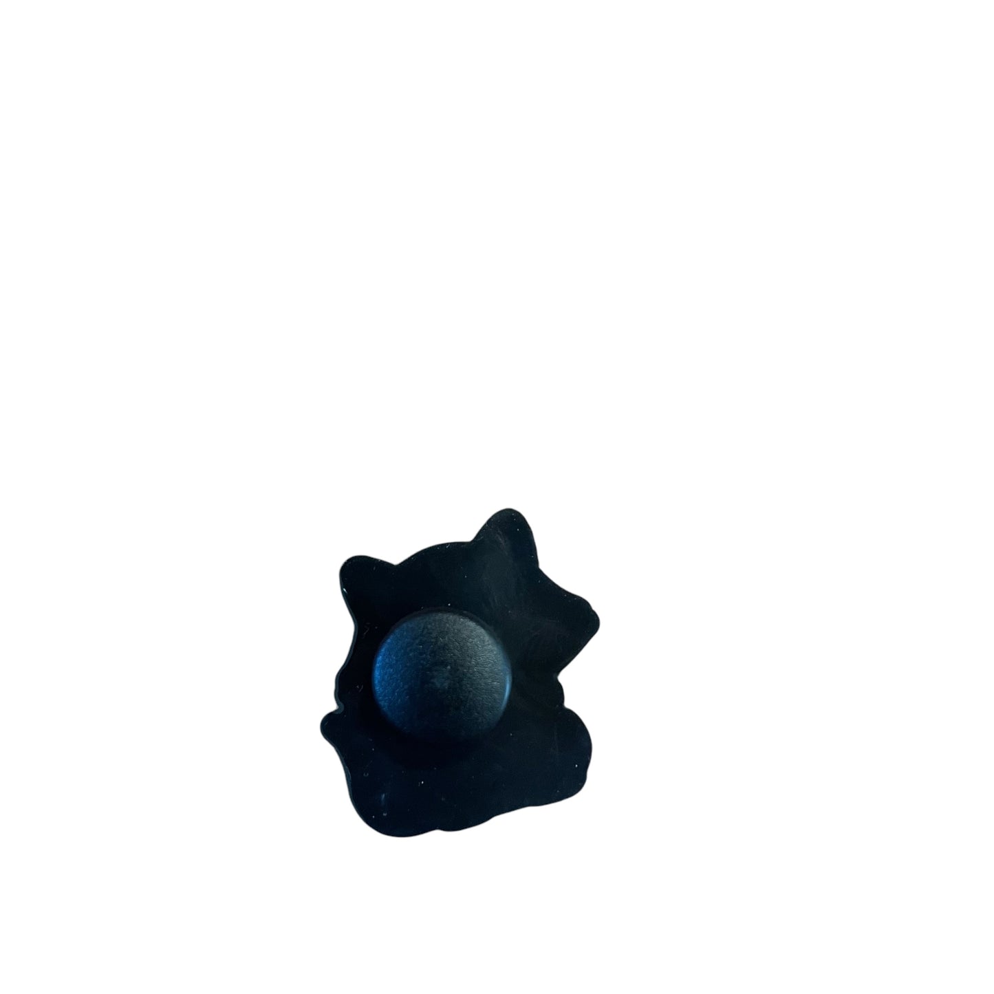 Raccoon